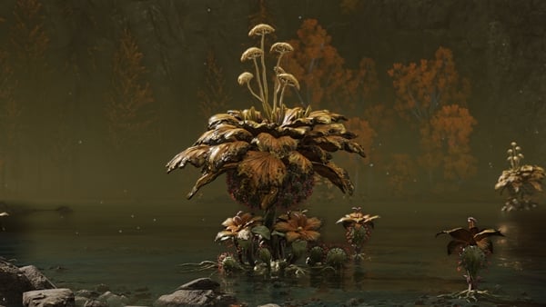giant miranda sprout enemies elden ring wiki 600px