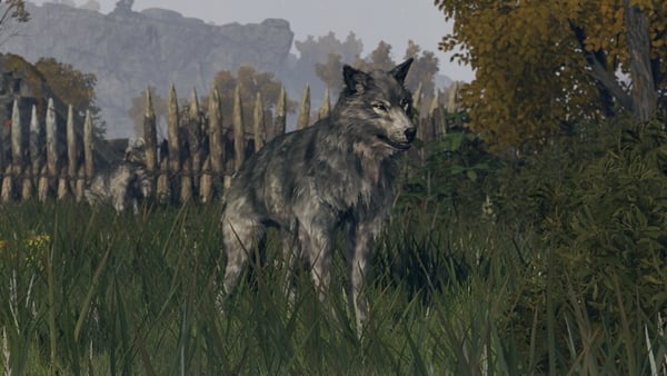 lone wolf enemies elden ring wiki 600px