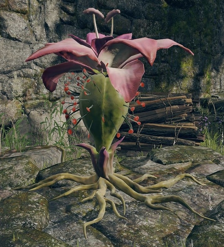 miranda sprout toxic pink