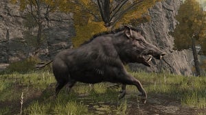 boar 1 enemy elden ring wiki