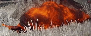 burning slug 1 elden ring wiki guide