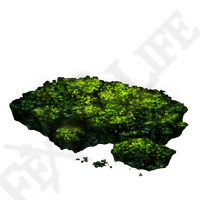 cave moss elden ring wiki guide 200px