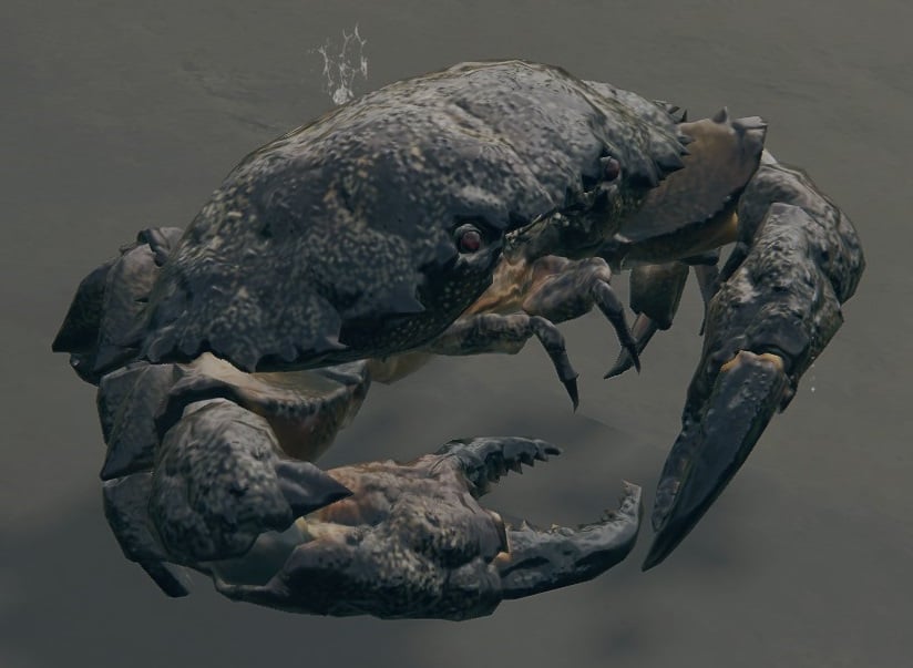 Crab Elden Ring Wiki