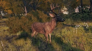 deer 1 enemy elden ring wiki