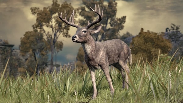 deer enemies elden ring wiki 600px