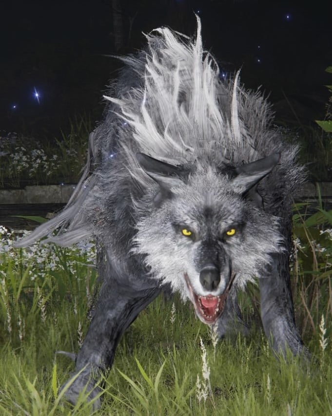 direwolf 1