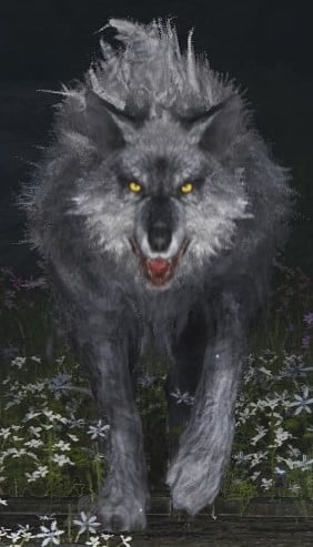 direwolf 2