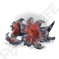 fire blossom elden ring wiki guide 200px
