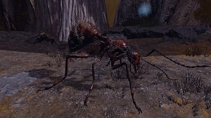 giant ant 9 elden ring wiki guide