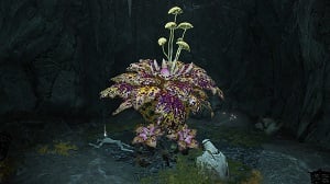 giant miranda sprout 4 elden ring wiki guide