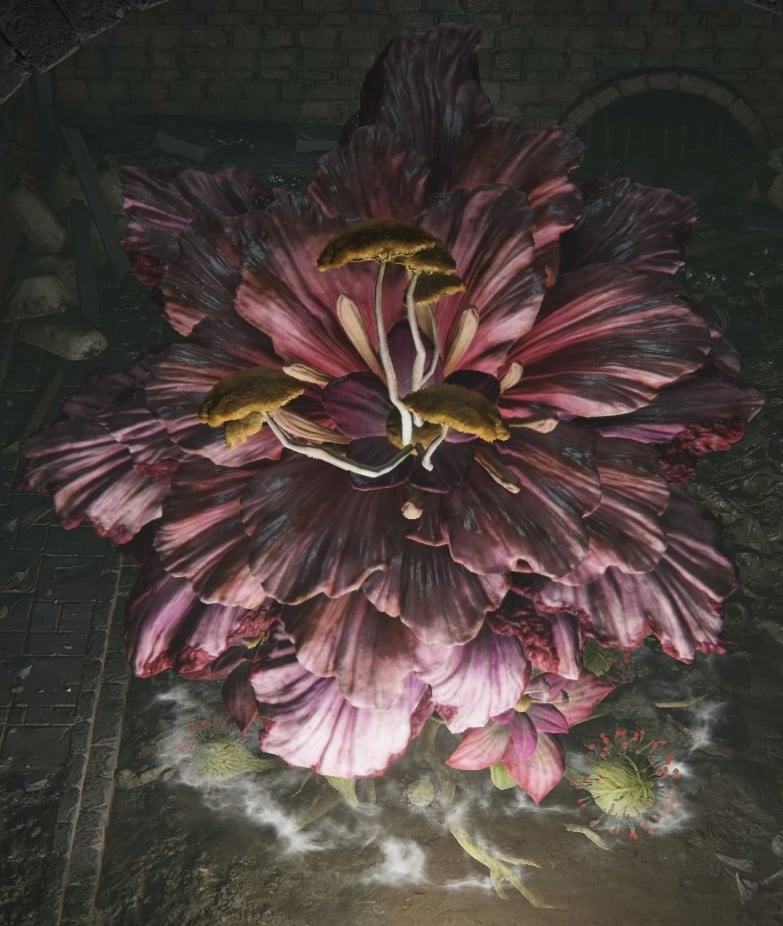 giant miranda sprout toxic pink 5