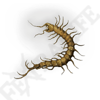 golden centipede elden ring wiki guide 200px