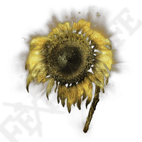 golden sunflower elden ring wiki guide 200px