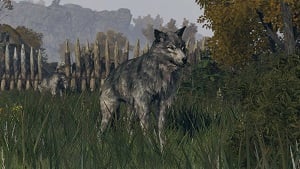 lone wolf 3 elden ring wiki guide