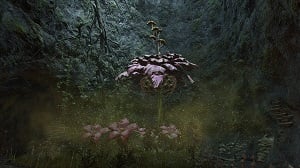 miranda the blighted bloom 1 elden ring wiki guide