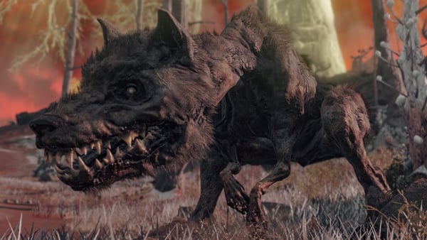monstrous dog caelid enemies elden ring wiki 600px