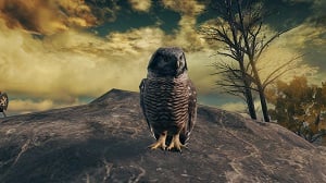 owl 1 enemy elden ring wiki