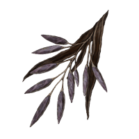 rada fruit crafting material elden ring shadow of the erdtree dlc wiki guide 200px