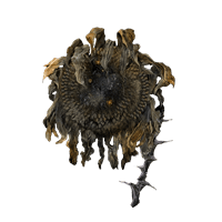 shadow sunflower crafting material elden ring shadow of the erdtree dlc wiki guide 200px