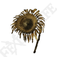 tarnished golde sunflower elden ring wiki guide 200px