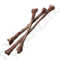 Thin Beast Bones | Elden Ring Wiki