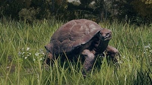 turtle 1 enemy elden ring wiki