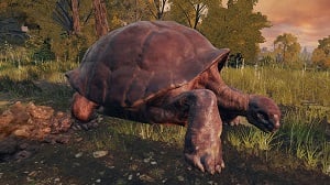 turtle 3 enemy elden ring wiki