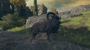 wild mouflon 1 enemy elden ring wiki